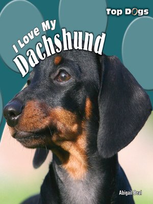 cover image of I Love My Dachshund